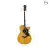 Yamaha AC5M ARE