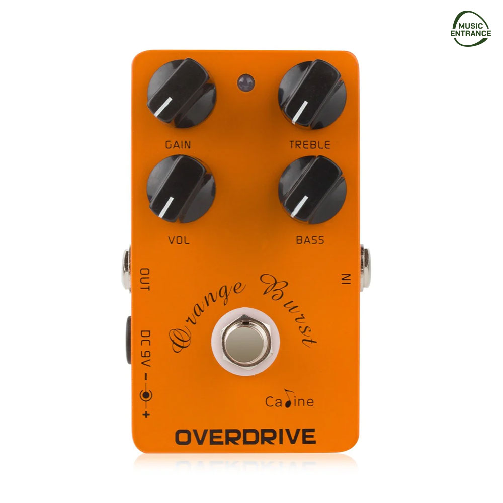 Caline CP-18 Orange Bust