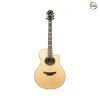 Yamaha APX1200II [Natural]