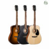 Cort AD810