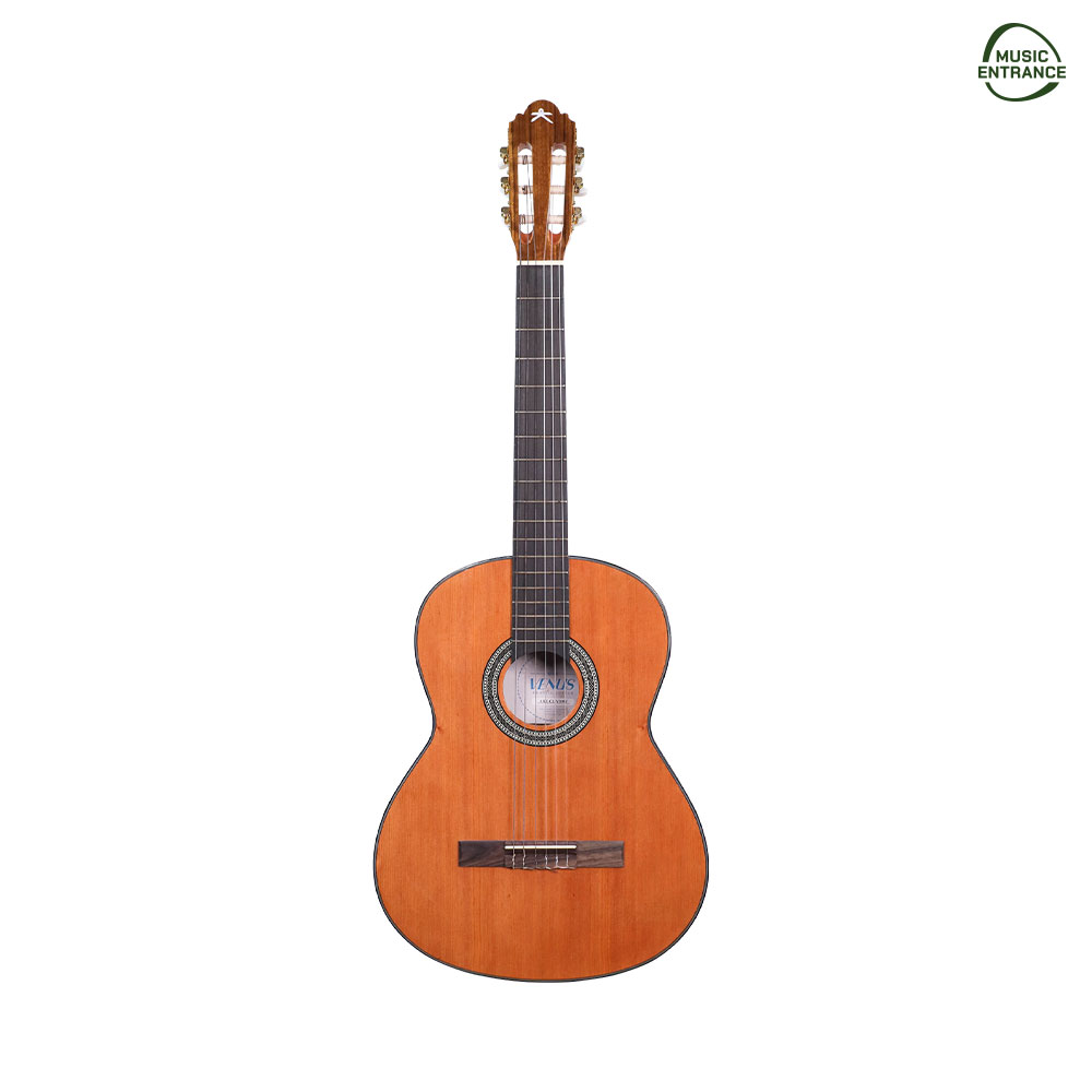 Kazuki Venus Walnut